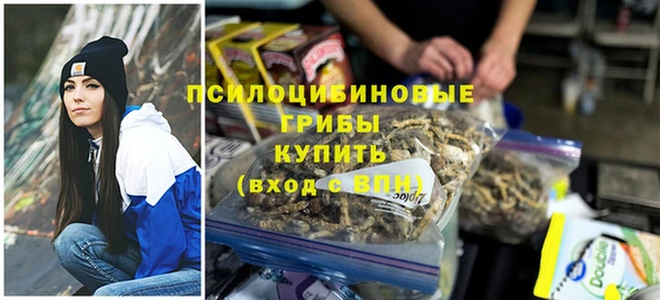 первитин Белокуриха