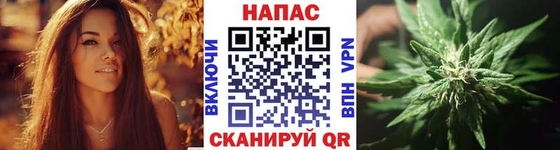 Каннабис семена  где можно купить наркотик  Закаменск 